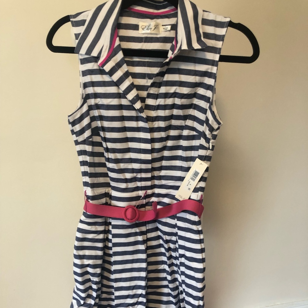 Eliza J Navy Striped Dress